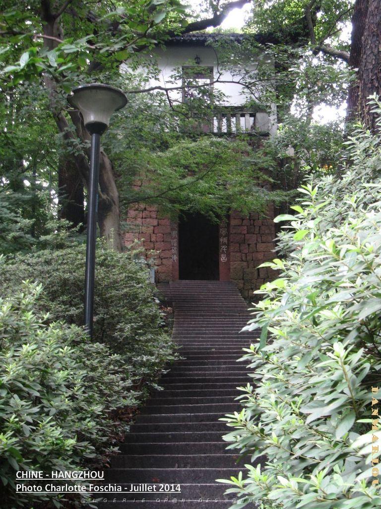 Charlotte- Hangzhou 008.JPG -                                